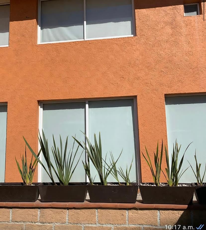 Casa en condominio en El Yaqui, Cuajimalpa de Morelos, foto 11 de 18