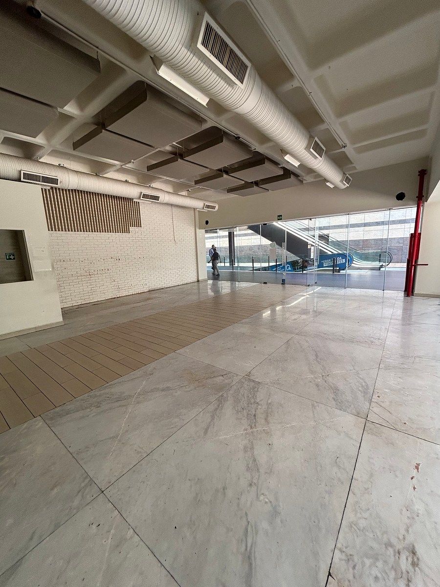 Retail Space in Santa Engracia, San Pedro Garza García, photo 4 of 16
