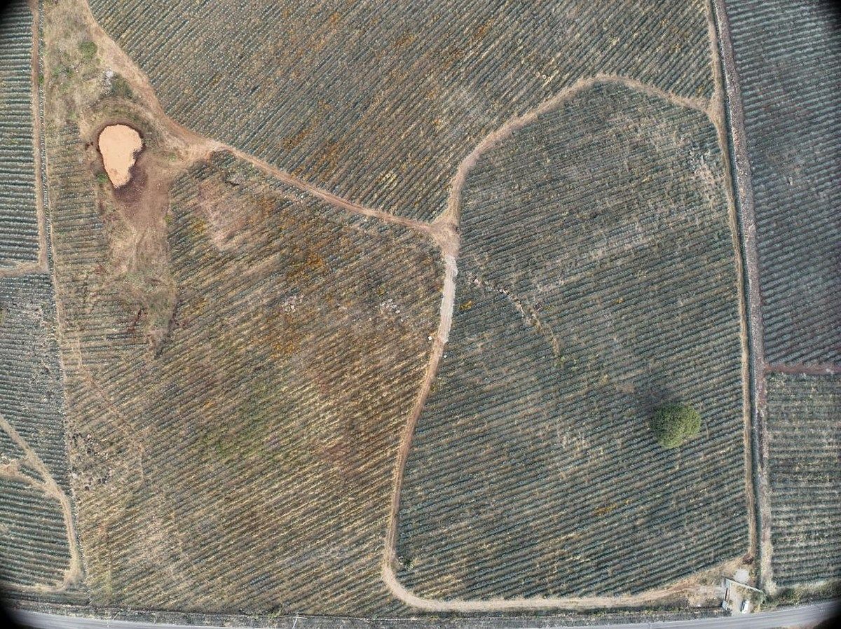 Terreno en Amatitan, Amatitán, foto 3 de 3