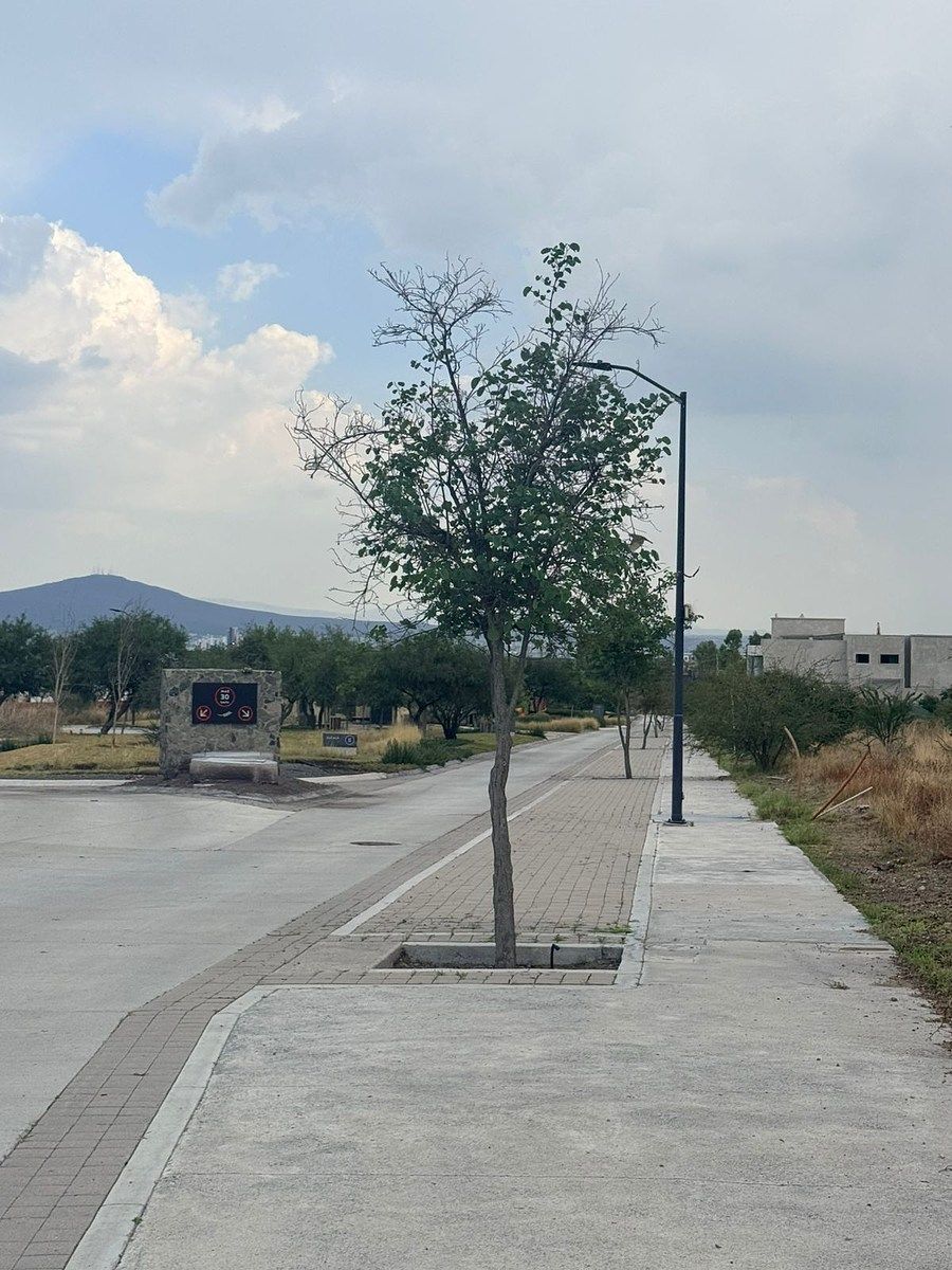 Lot in La Espiga, Querétaro, photo 7 of 8