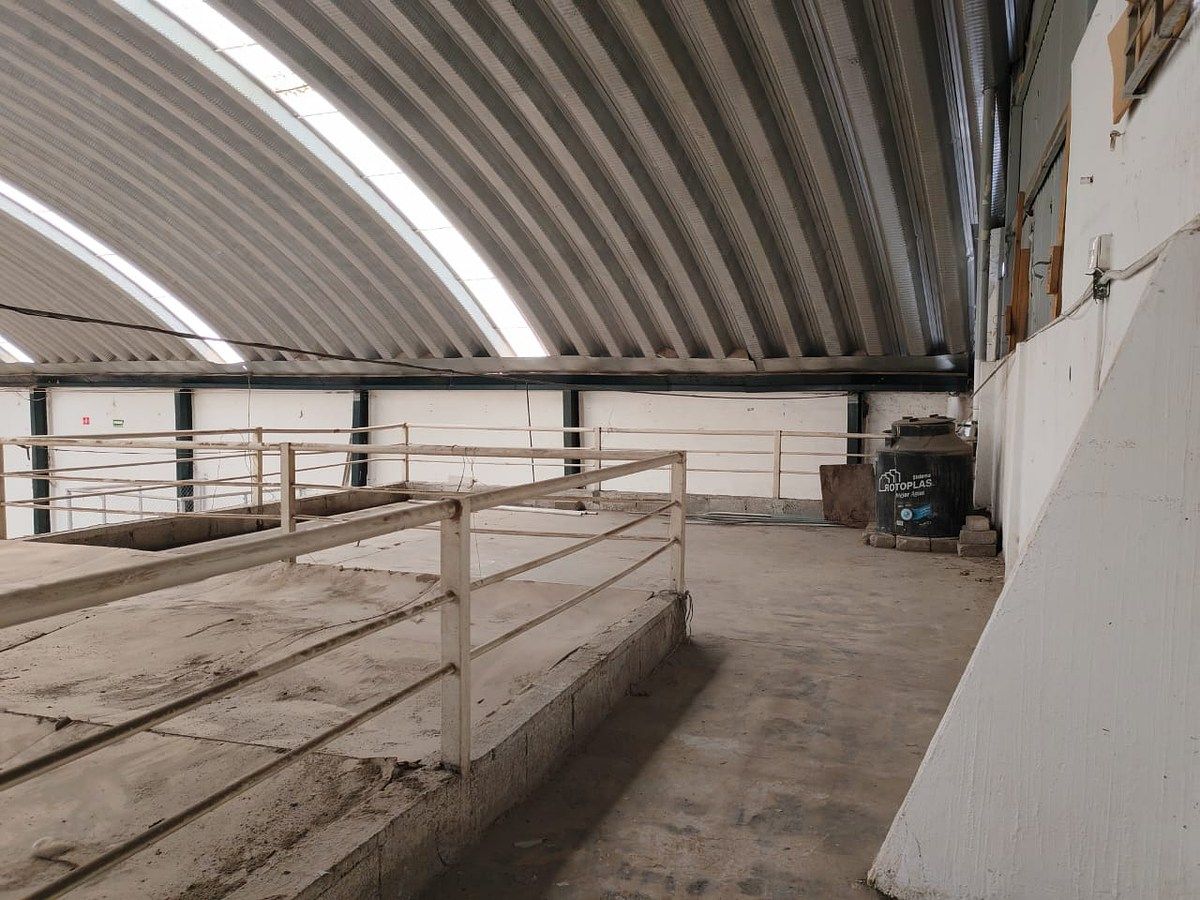 Bodega industrial en Felipe Carrillo Puerto, Querétaro, foto 11 de 13