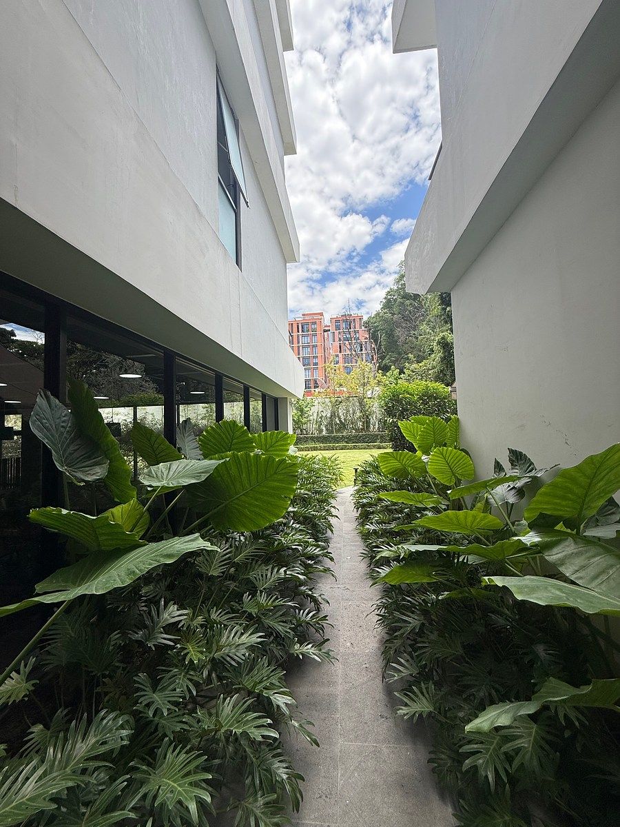 Apartamento em Colomos Providencia, Guadalajara, foto 8 de 24