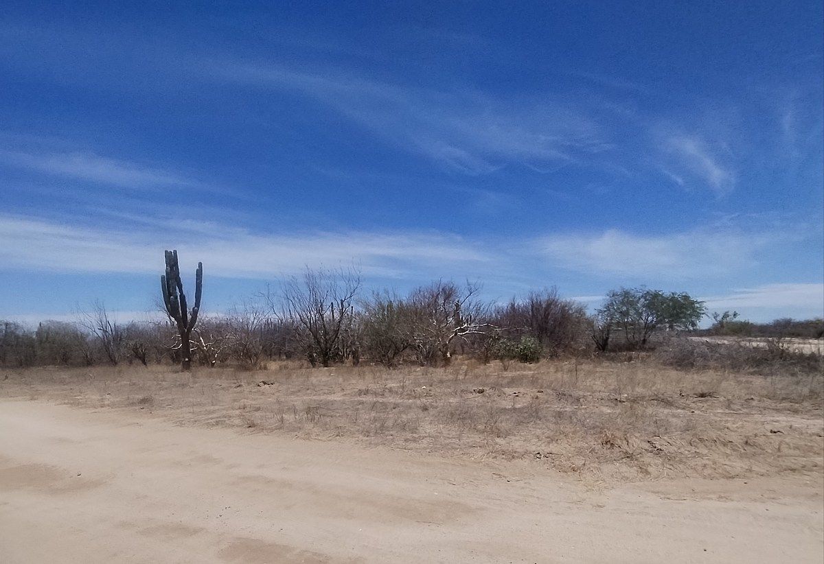 TERRENO EL CARDON, foto 1 de 5