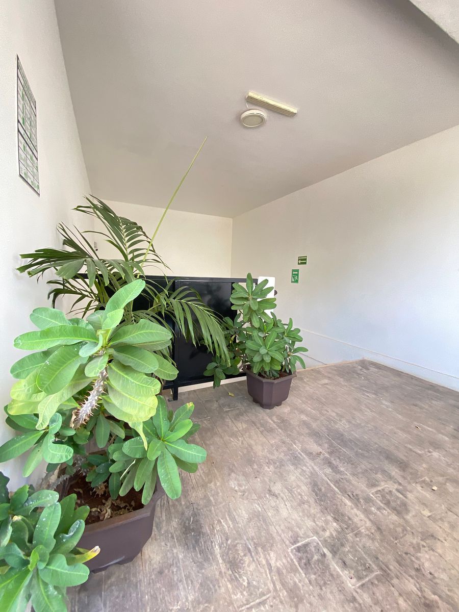 Sala Comercial em Los Pinos, Mérida, foto 20 de 36