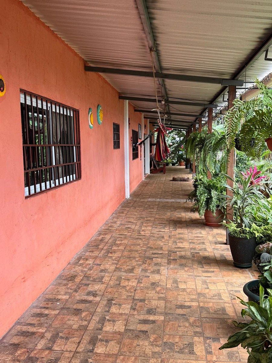 Granja Cafetalera con Casa y Amplio Terreno en Venta - Image 2
