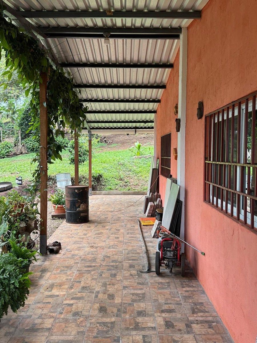 Granja Cafetalera con Casa y Amplio Terreno en Venta - Image 4