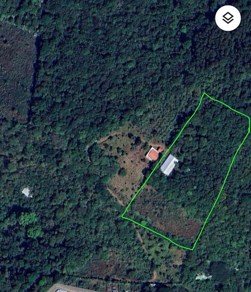Granja Cafetalera con Casa y Amplio Terreno en Venta - Image 1