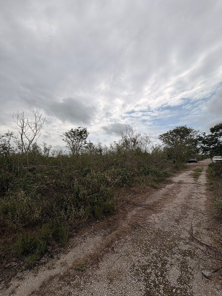 Lote em Conkal, Conkal, foto 9 de 11