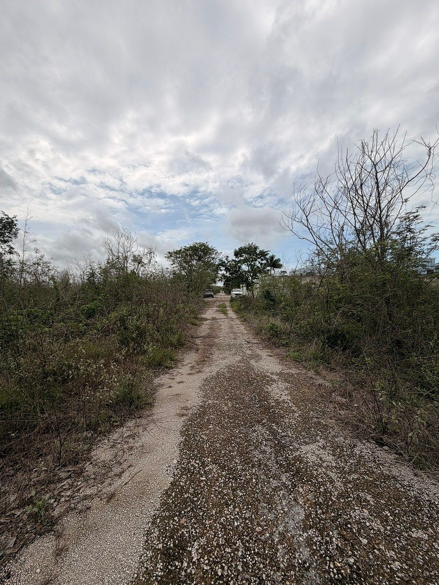 Lote em Conkal, Conkal, foto 6 de 11