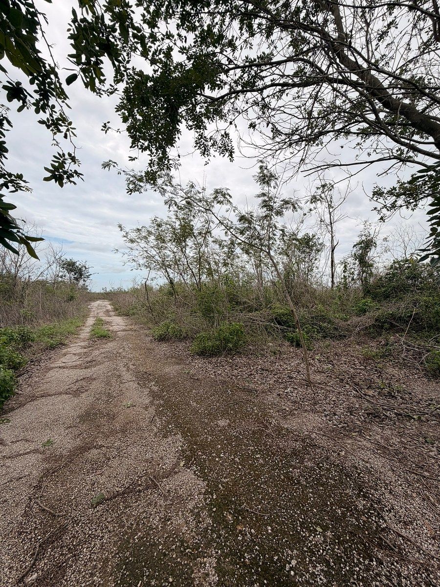 Lote em Conkal, Conkal, foto 4 de 11