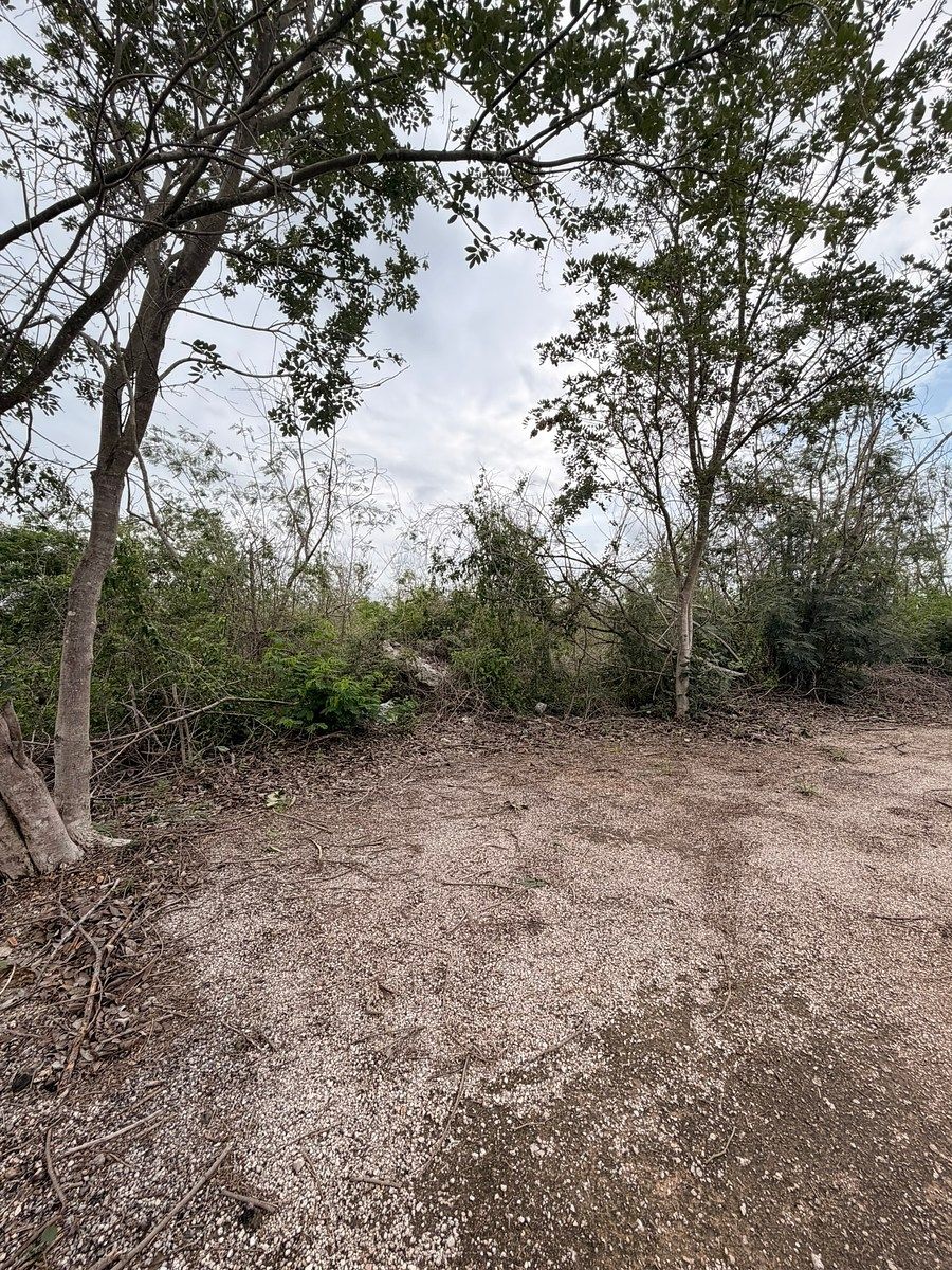 Lote em Conkal, Conkal, foto 11 de 11