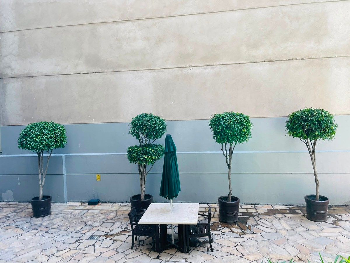 Apartamento em ZEDEC Santa Fe, Álvaro Obregón, foto 11 de 30