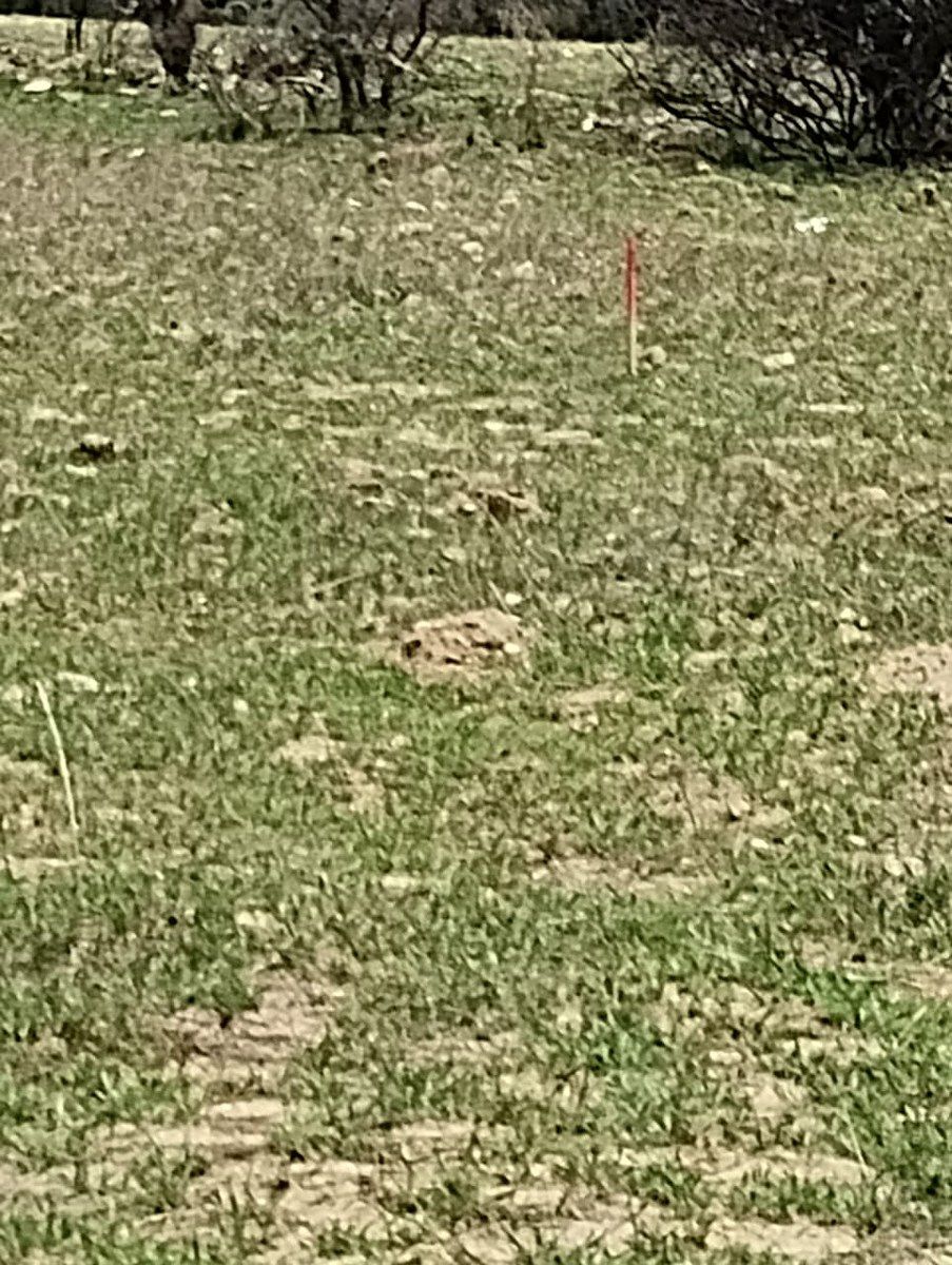 Terreno industrial en Palmillas, San Juan del Río, foto 7 de 17
