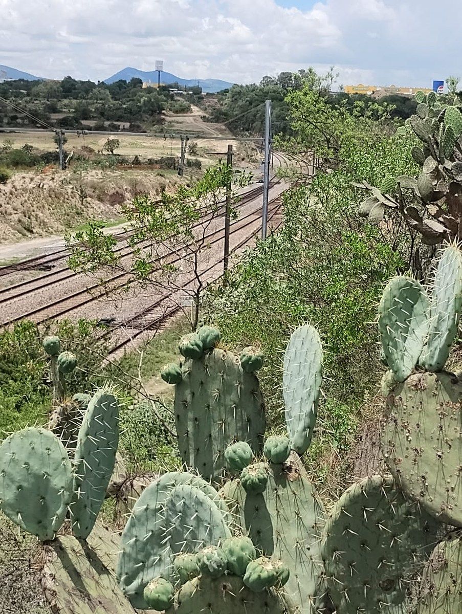 Terreno industrial en Palmillas, San Juan del Río, foto 6 de 17