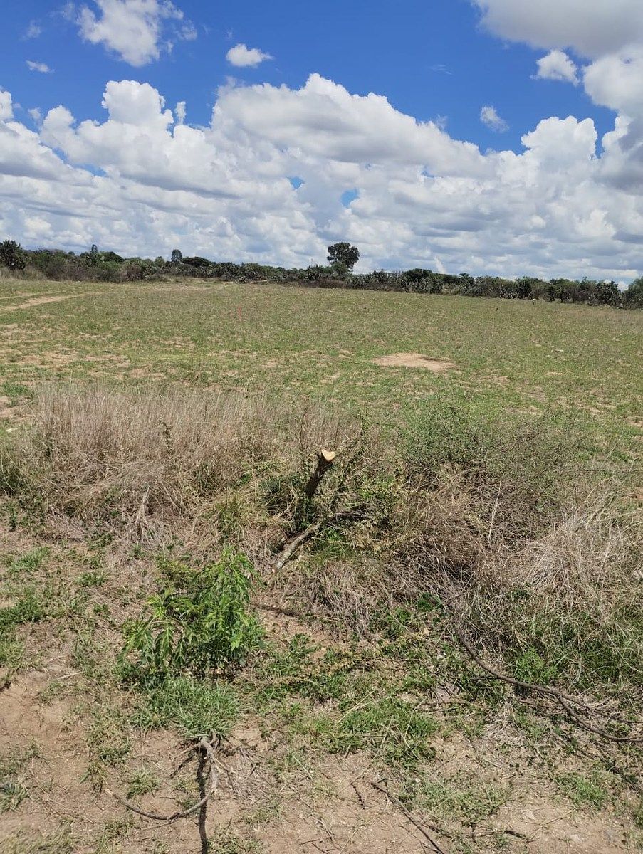 Terreno industrial en Palmillas, San Juan del Río, foto 8 de 17