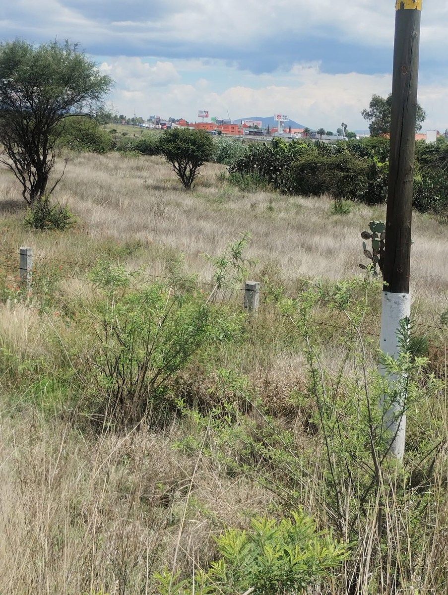 Terreno industrial en Palmillas, San Juan del Río, foto 16 de 17
