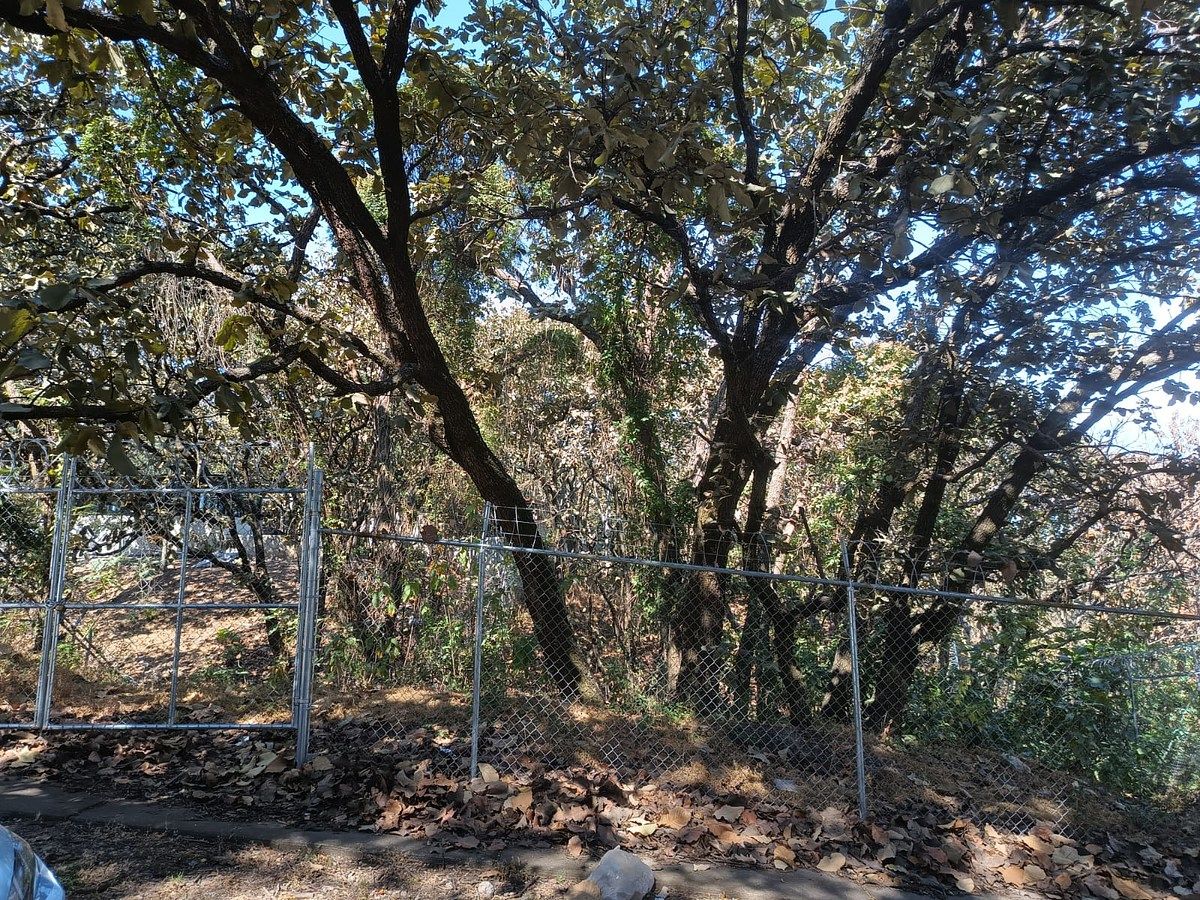 Lote em El Palomar Secc Panorámica, Tlajomulco de Zúñiga, foto 2 de 2