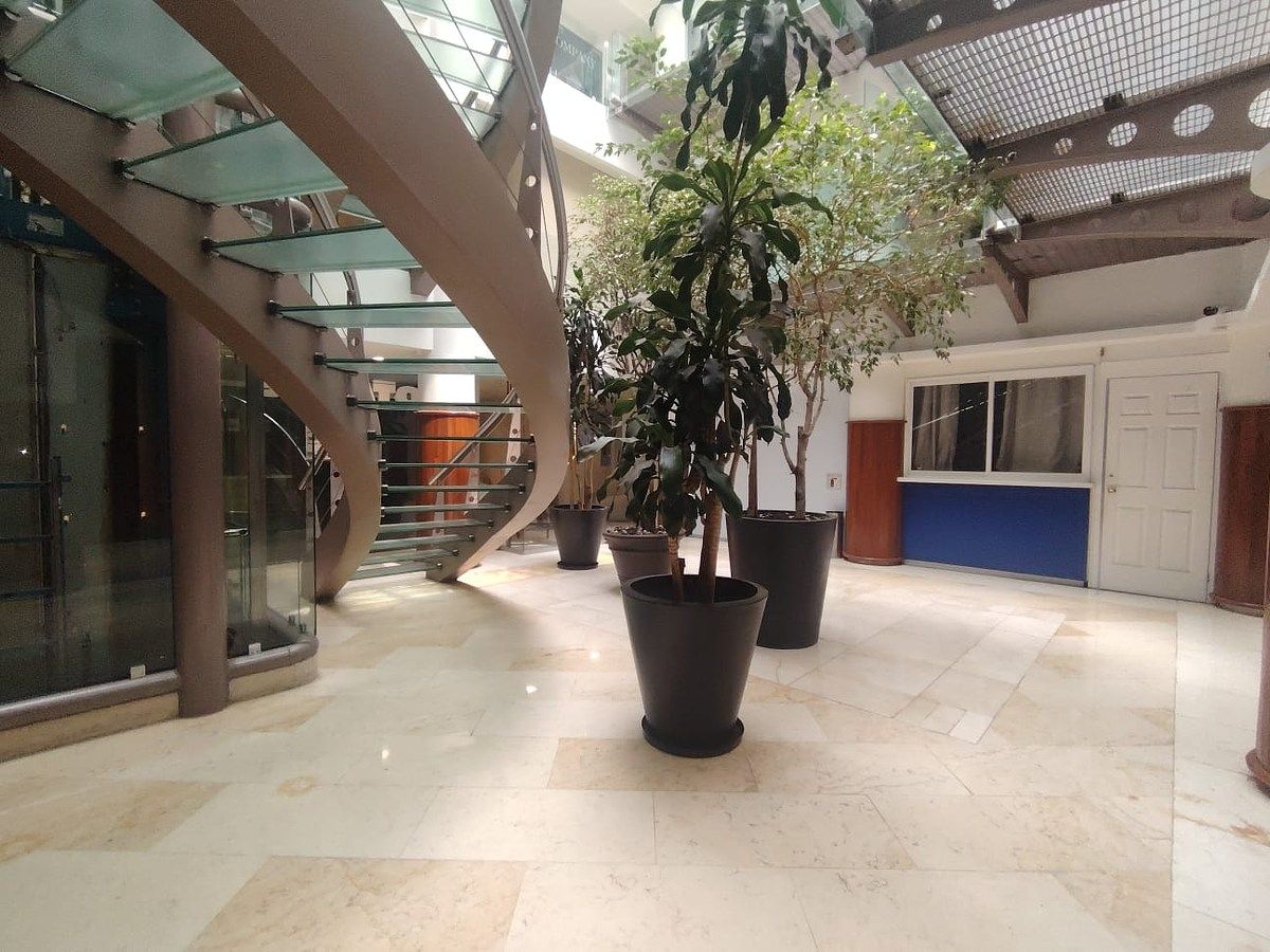 Sala Comercial em Lomas de Chapultepec I Sección, Miguel Hidalgo, foto 12 de 12