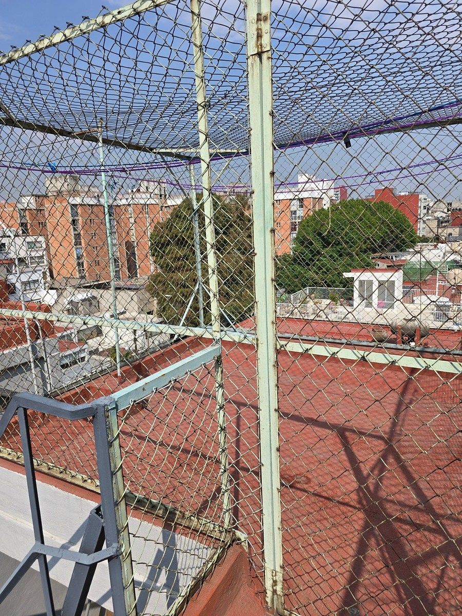 Edificio en Letrán Valle, Benito Juárez, foto 8 de 9