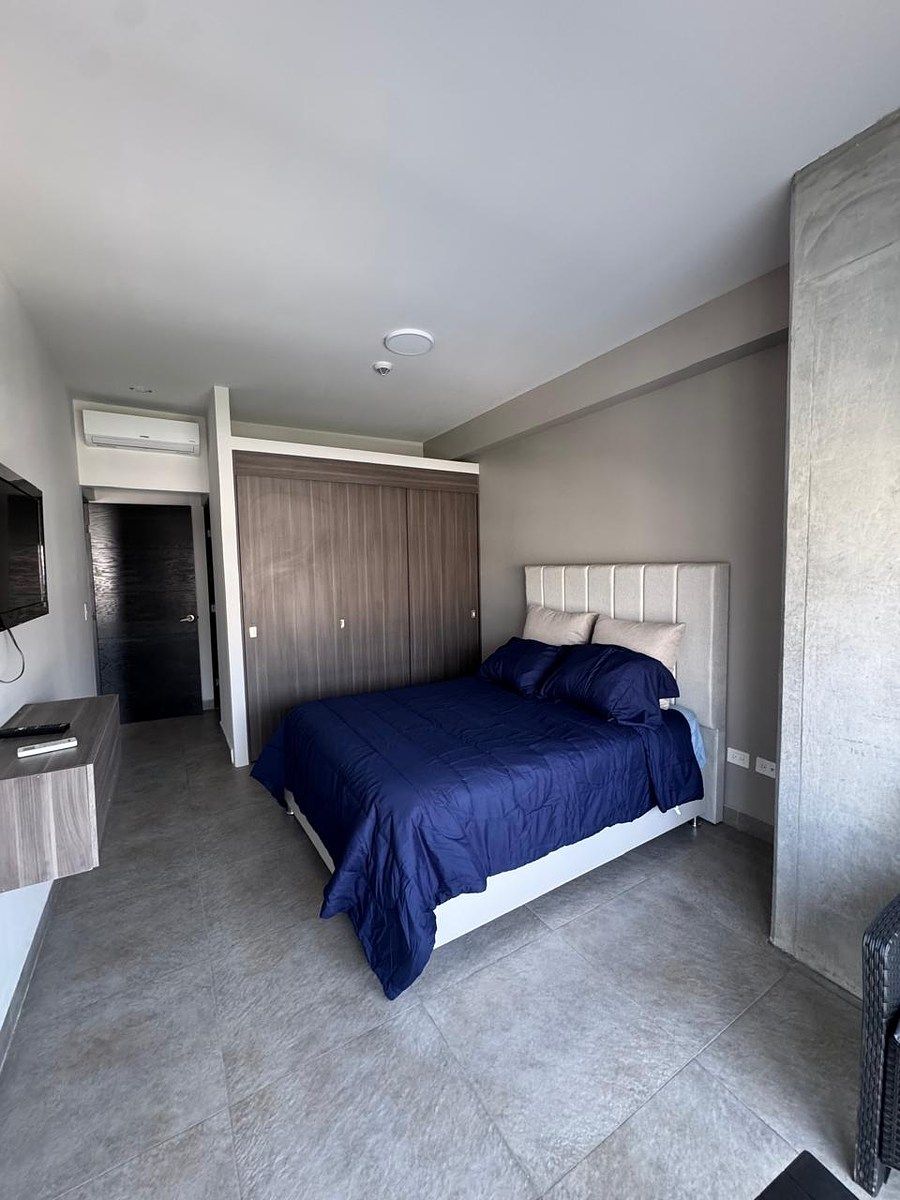 Departamento en Mas Palomas (Valle de Santiago), Monterrey, foto 19 de 25