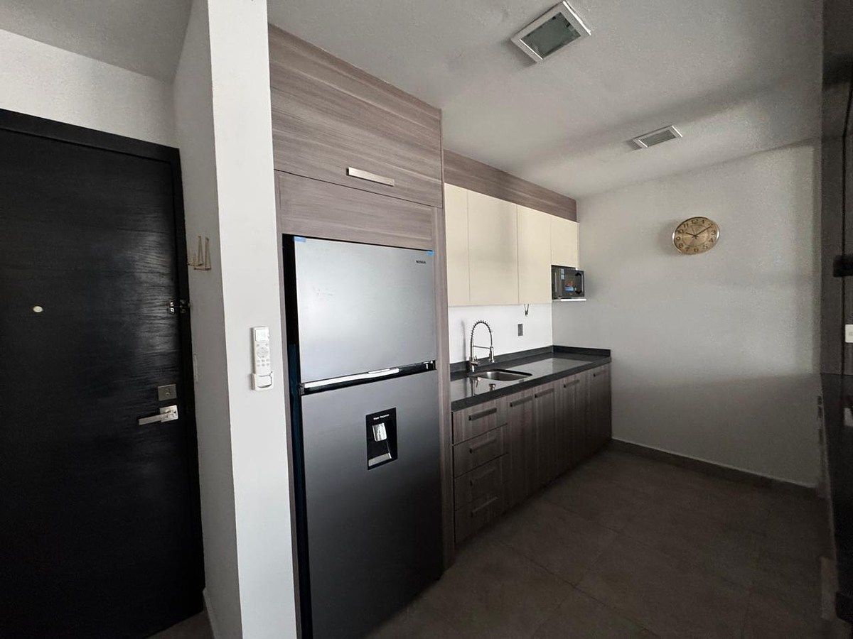 Departamento en Mas Palomas (Valle de Santiago), Monterrey, foto 14 de 25