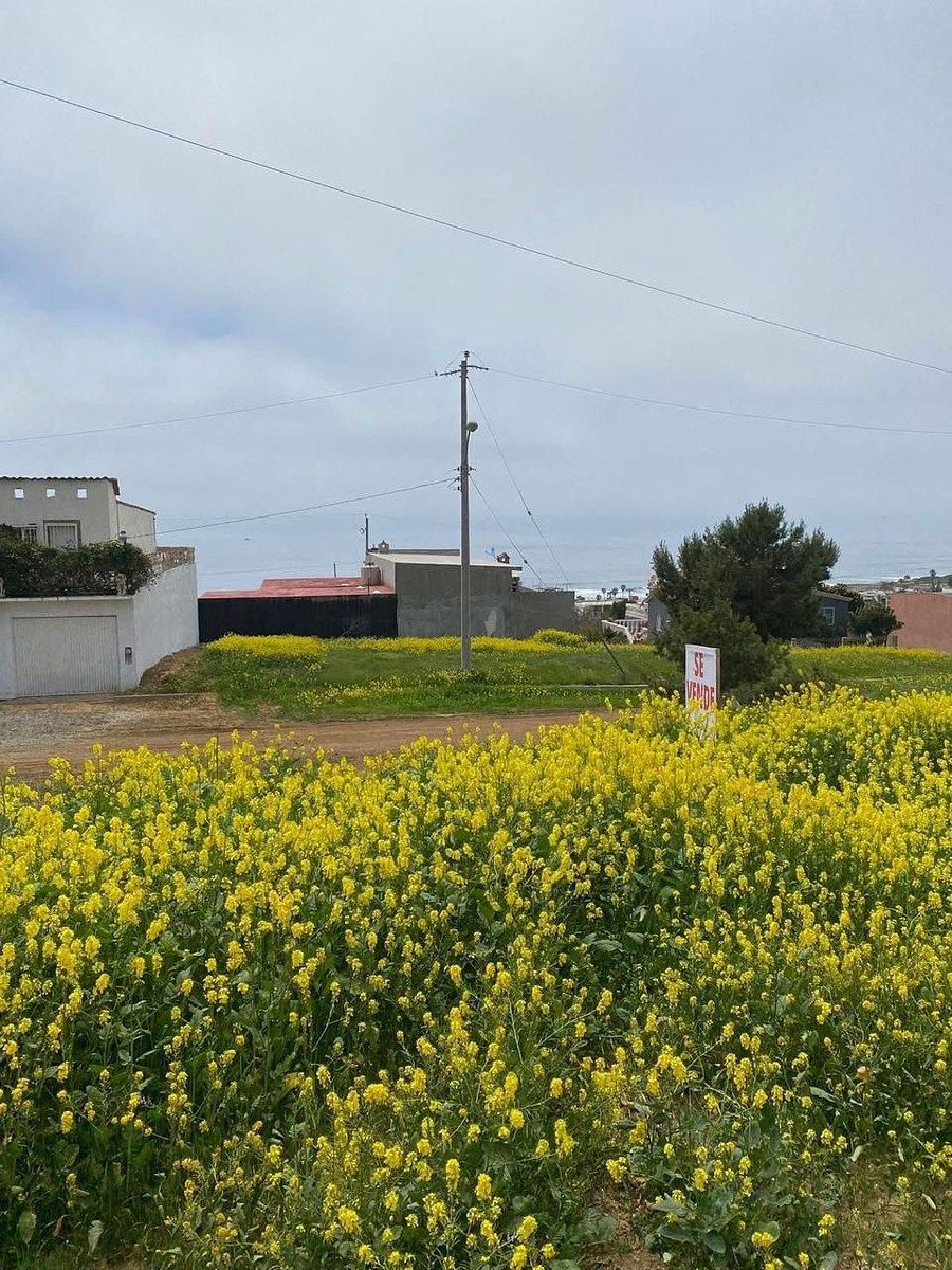 Terreno en Mar de Puerto Nuevo I, Playas de Rosarito, foto 2 de 4