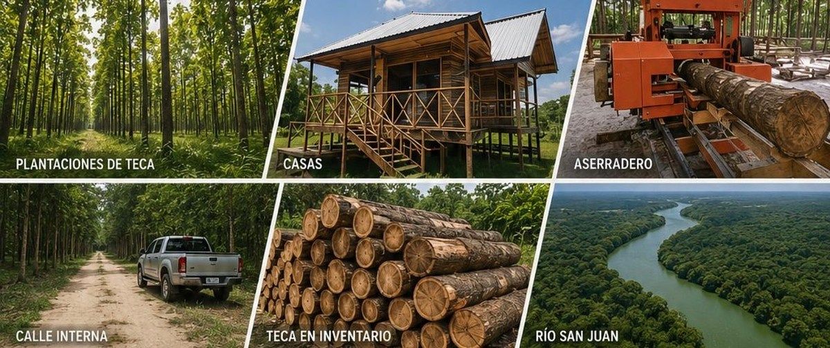 FINCA FORESTAL DE TECA EN VENTA – SAYAXCHÉ, PETÉN, GUATEMALA - Image 1