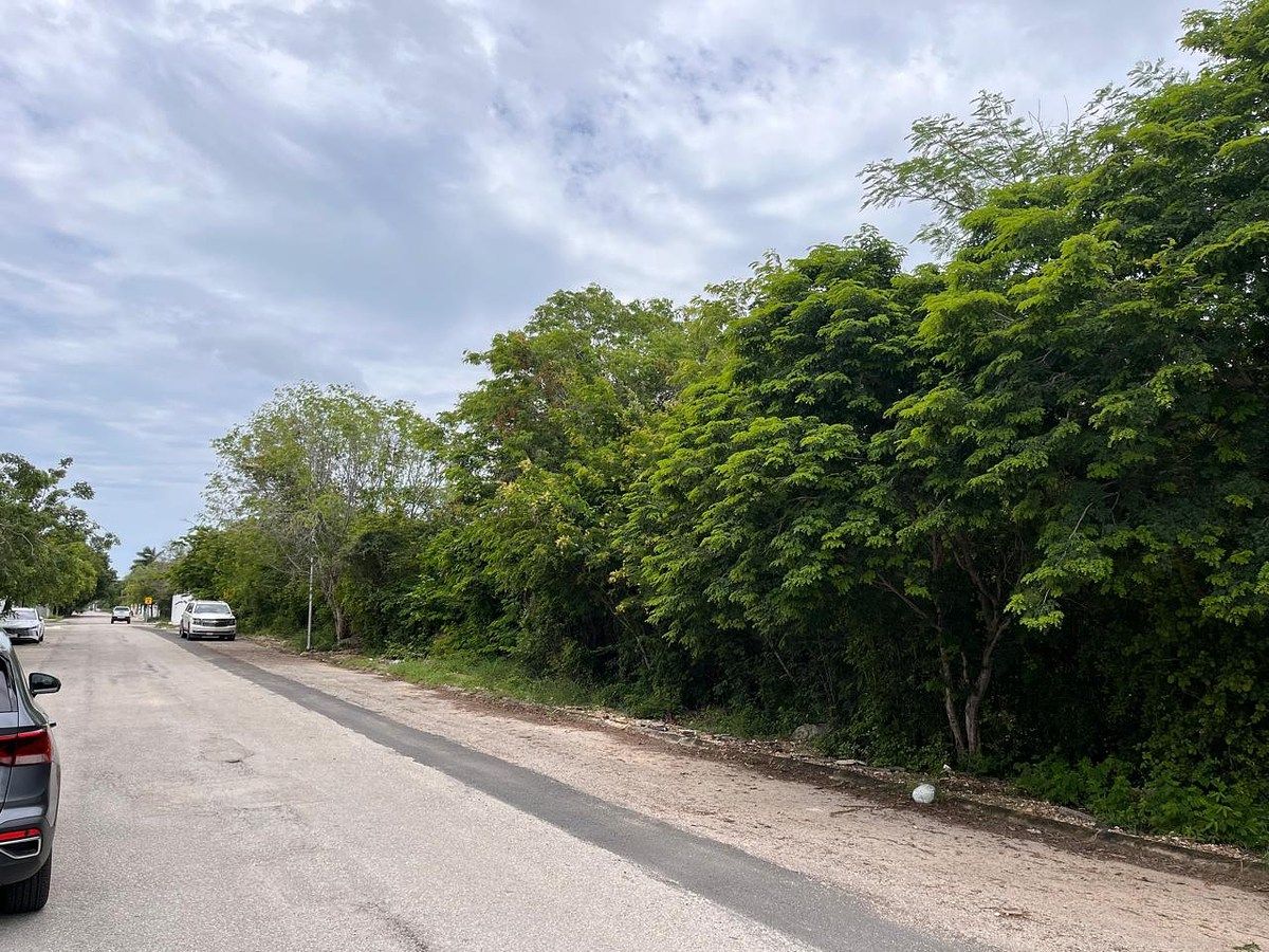 Lote em Residencial del Mayab, Mérida, foto 4 de 5