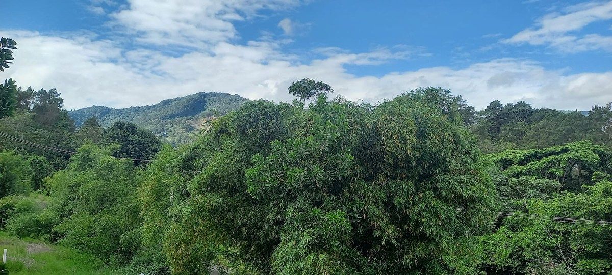 Apartamento en Jarabacoa, foto 10 de 10