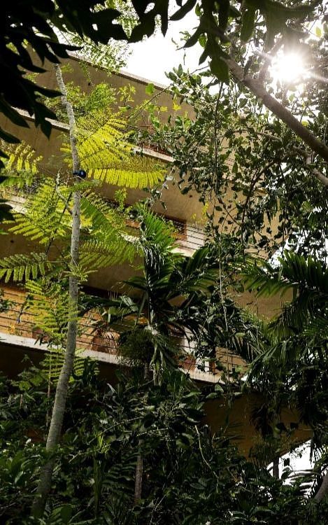 Departamento en Puerto Escondido Centro, San Pedro Mixtepec, foto 16 de 17