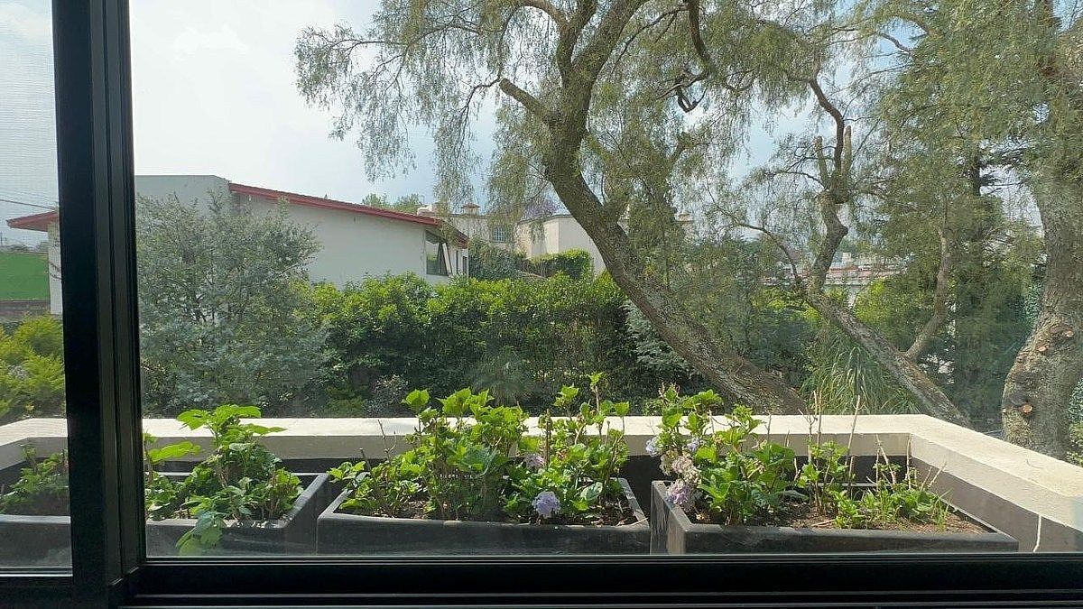 Casa en condominio en Jardines del Pedregal, Álvaro Obregón, foto 22 de 42