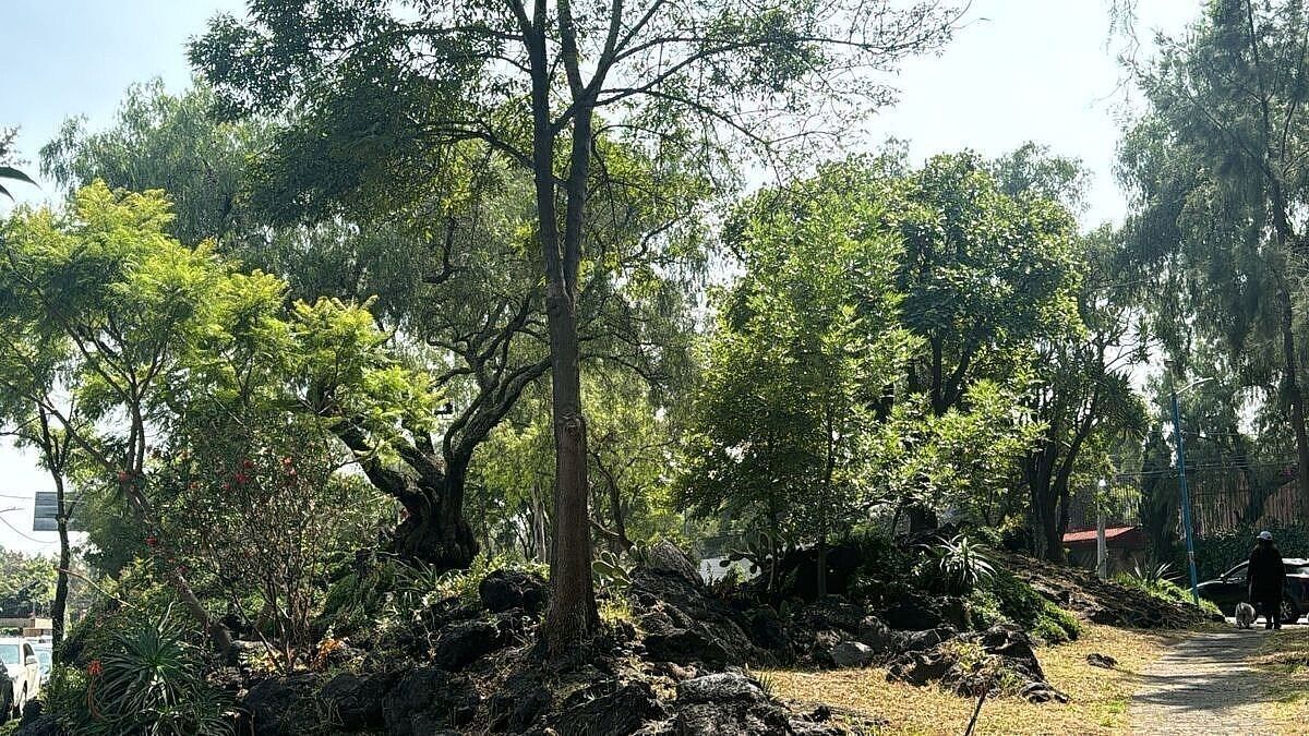 Lote em Lomas de Chapultepec I Sección, Miguel Hidalgo, foto 2 de 2