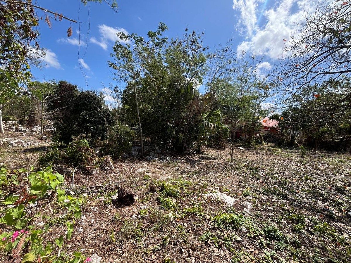 Terreno en Cheuman, Mérida, foto 7 de 7