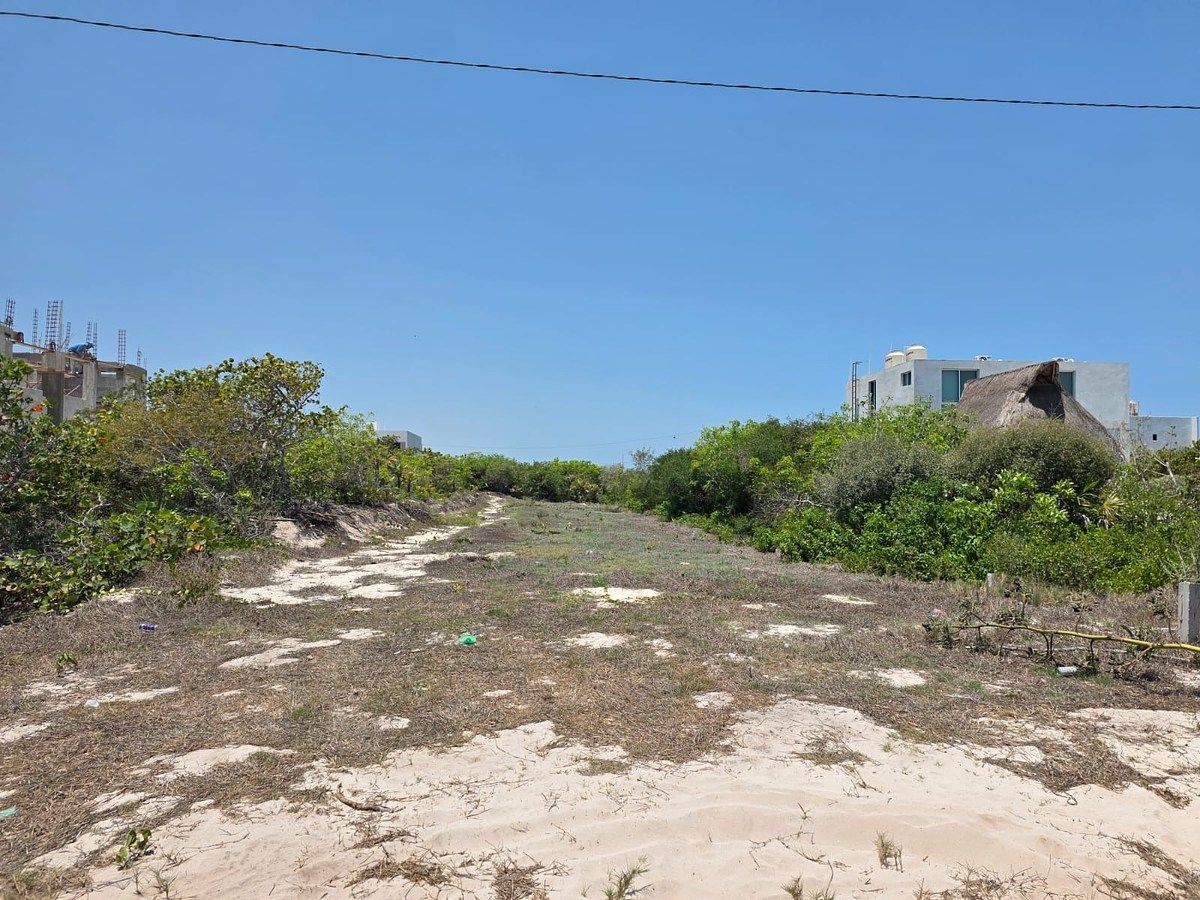 Lot in San Benito, Dzemul, photo 4 of 5