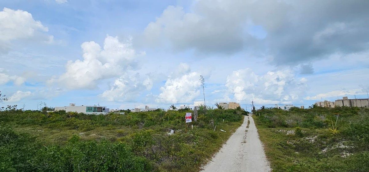 Terreno en San Benito, Dzemul, foto 4 de 11
