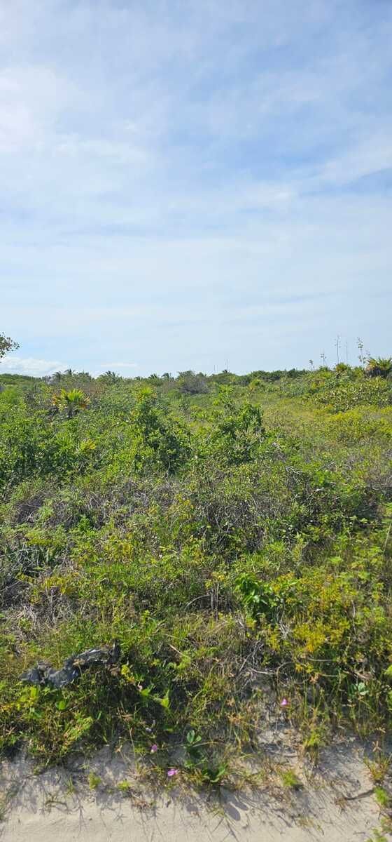 Terreno en San Benito, Dzemul, foto 7 de 11