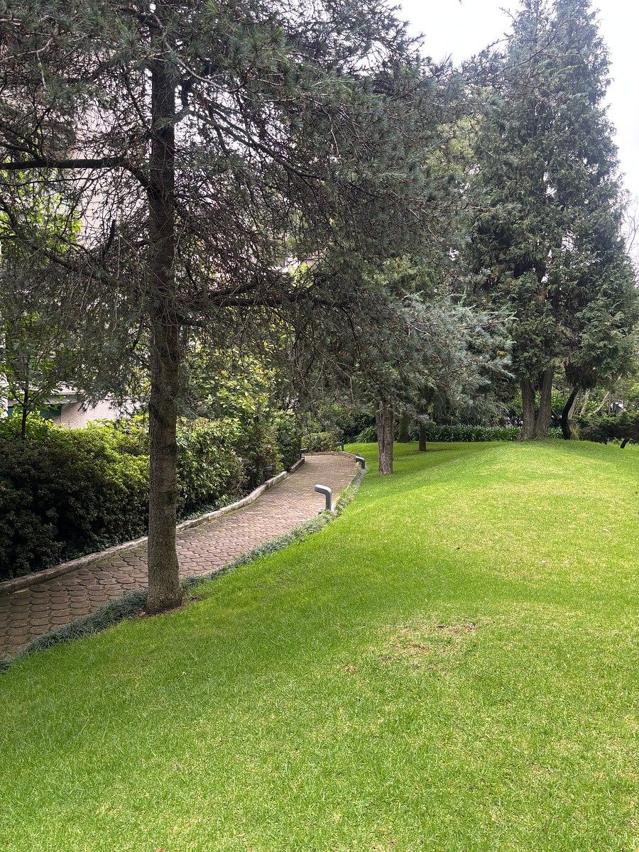 Apartamento em Bosques de las Lomas, Cuajimalpa de Morelos, foto 14 de 24