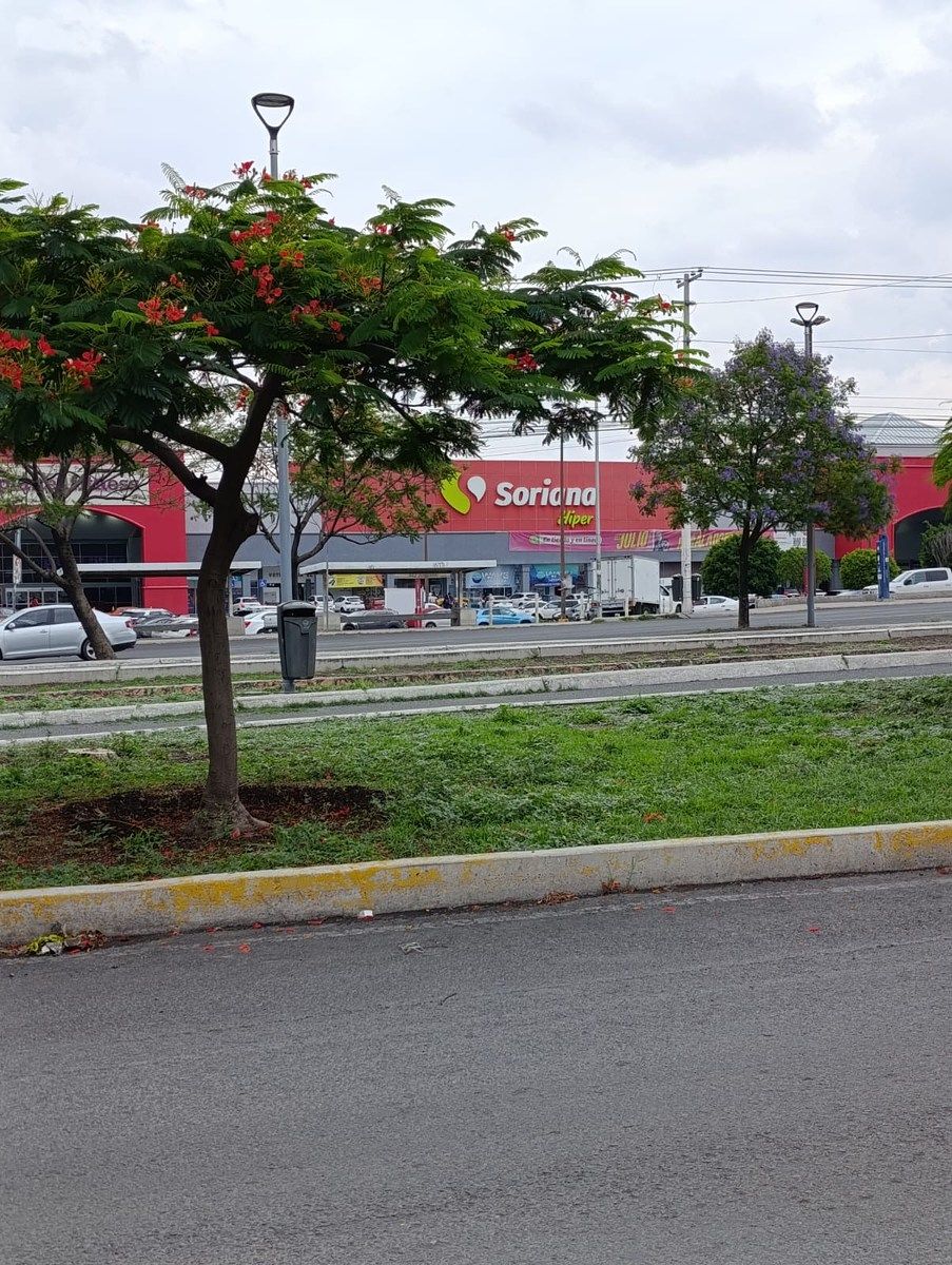 Retail Space in Centro Sur, Querétaro, photo 11 of 13