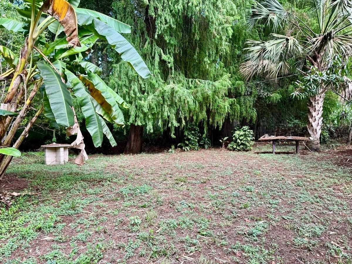 Ranch in Tzimol, Tzimol, photo 25 of 32