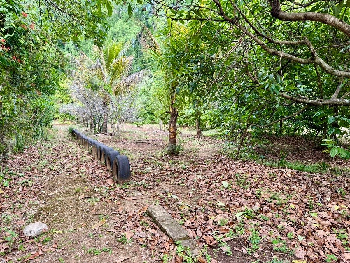 Ranch in Tzimol, Tzimol, photo 22 of 32