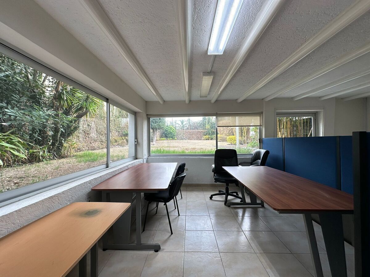 Oficina en Renta Jardines del Pedregal Rayo Vende ®, foto 1 de 22