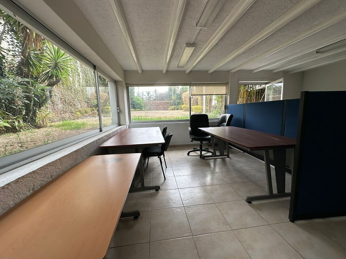 Oficina en Renta Jardines del Pedregal Rayo Vende ®, foto 18 de 22