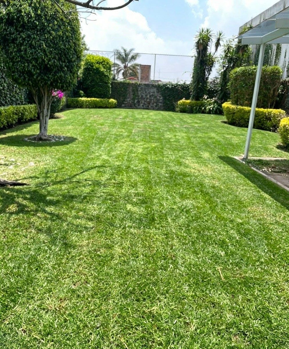 Oficina en Jardines del Pedregal, Álvaro Obregón, foto 9 de 26