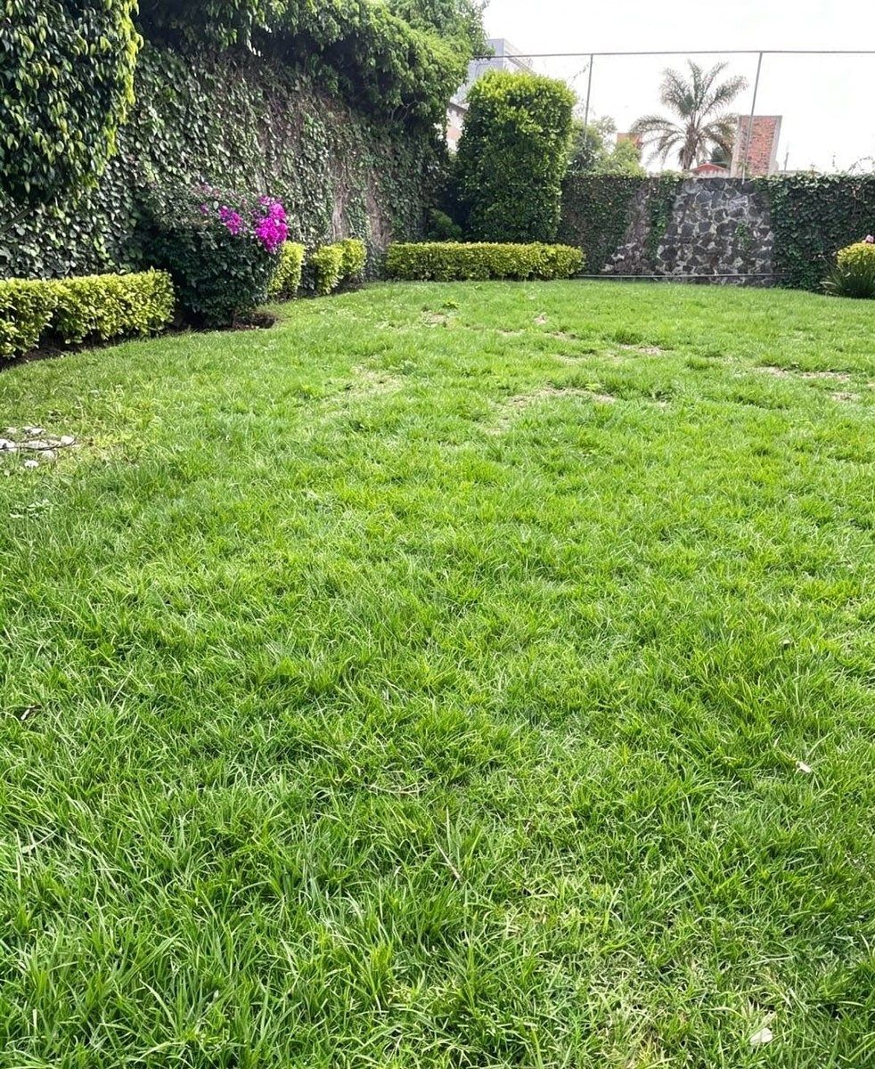 Oficina en Jardines del Pedregal, Álvaro Obregón, foto 24 de 26