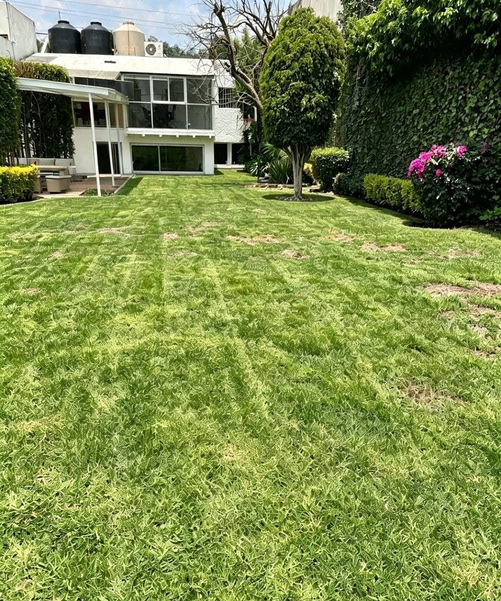 Oficina en Jardines del Pedregal, Álvaro Obregón, foto 4 de 26