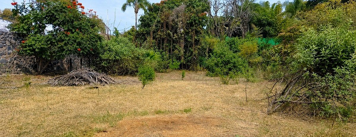 TERRENO EN REFORMA, foto 1 de 3