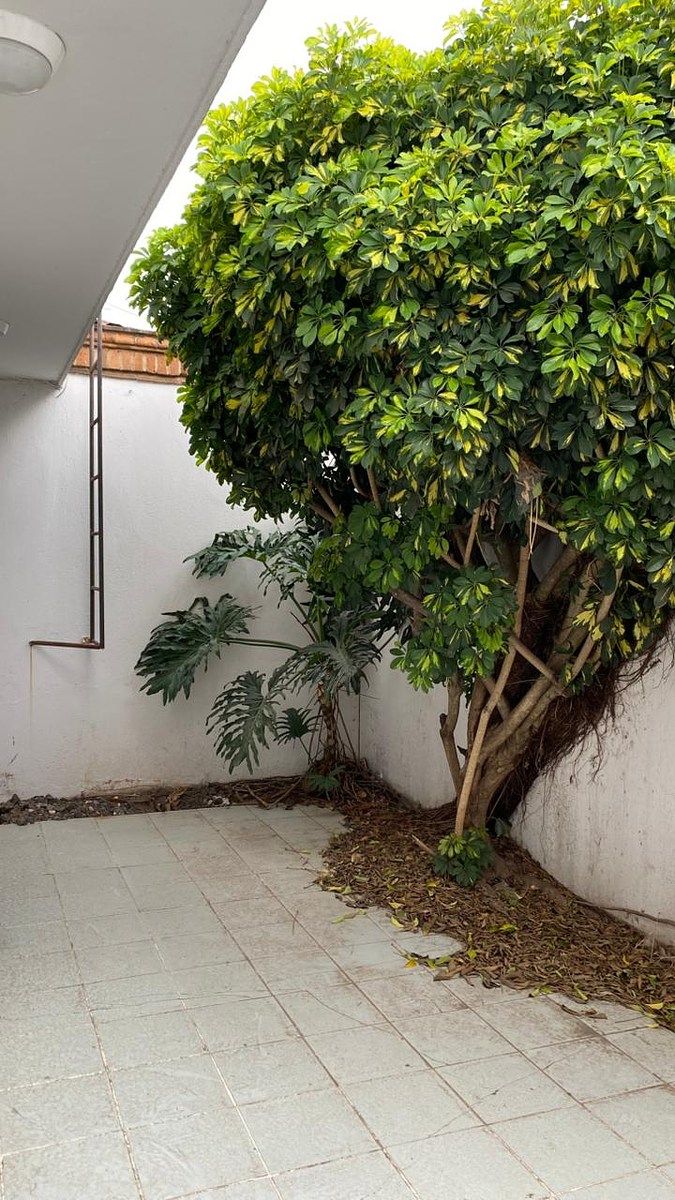 Casa en Arboleda de la Huerta, Morelia, foto 16 de 24