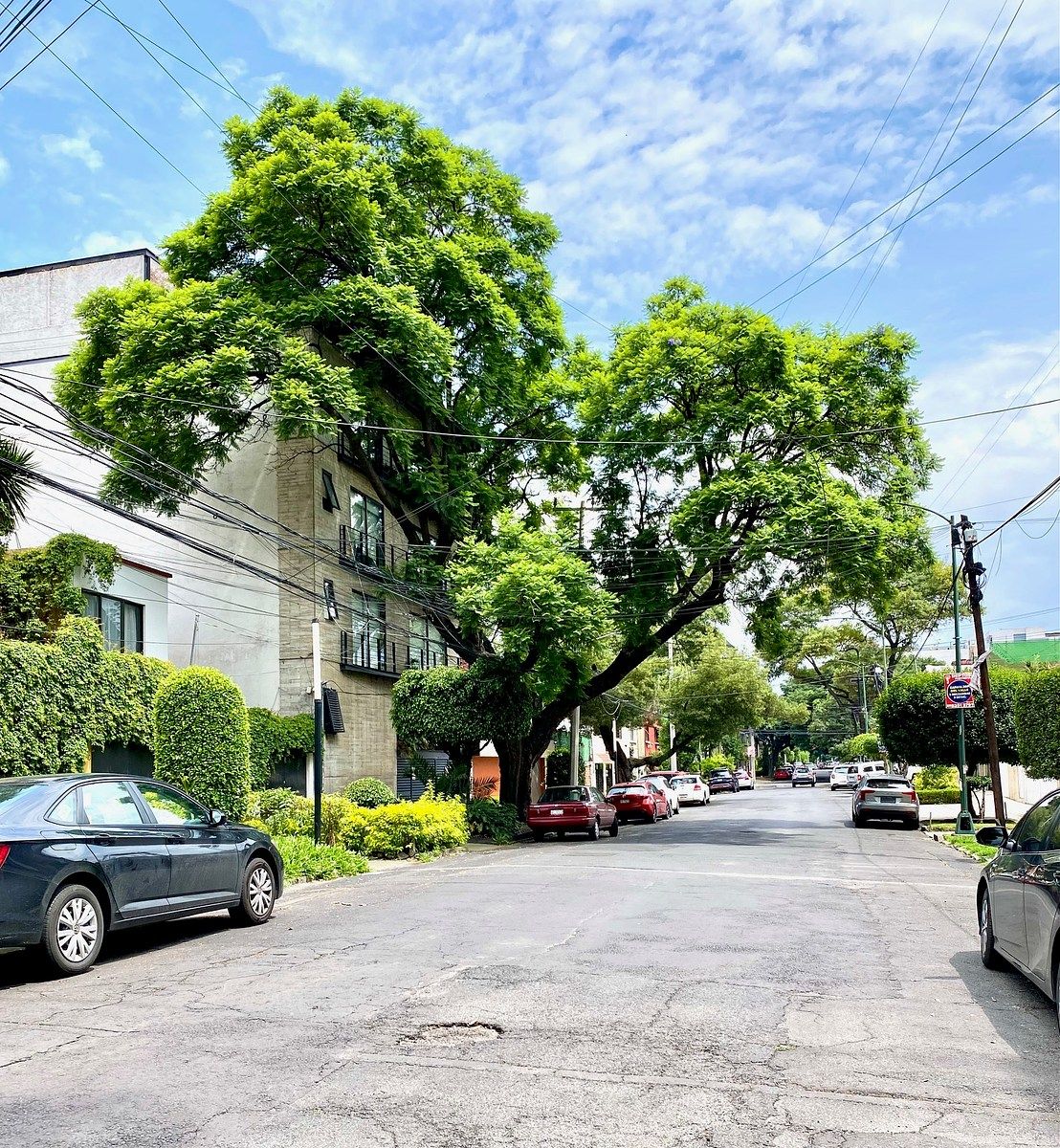 Apartamento em Narvarte Oriente, Benito Juárez, foto 23 de 24