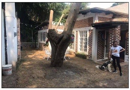 Casa en condominio en Quintas de La Carolina, Zitácuaro, foto 7 de 28