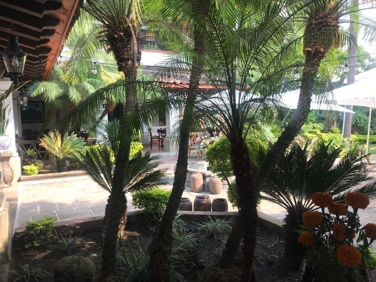 Edifício em Cuernavaca Centro, Cuernavaca, foto 10 de 45